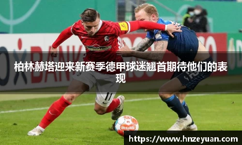 NG体育官方网站