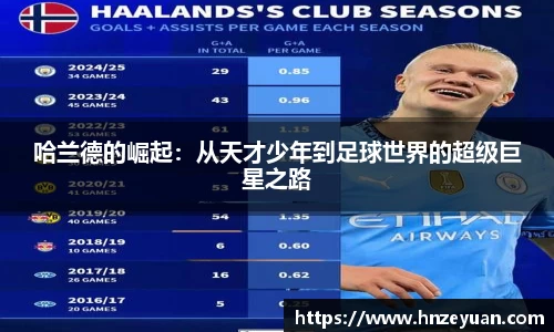 NG体育官方网站