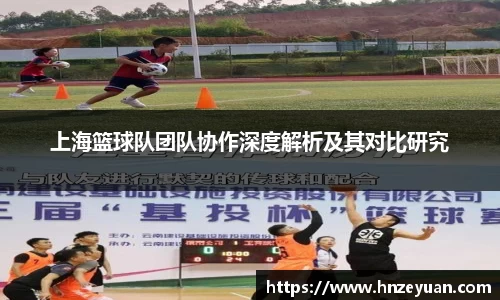 NG体育官方网站