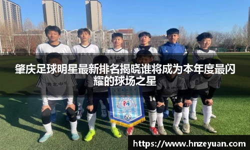 NG体育官方网站